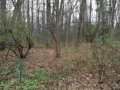 45 Braim Rd, Greenfield Center, NY, 12833