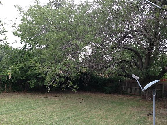 Shaded /fenced back