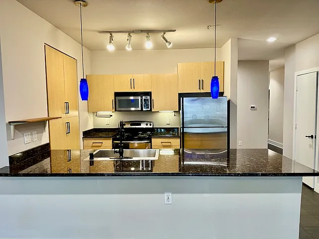 4605 Cedar Springs Rd #233 — Photo 1
