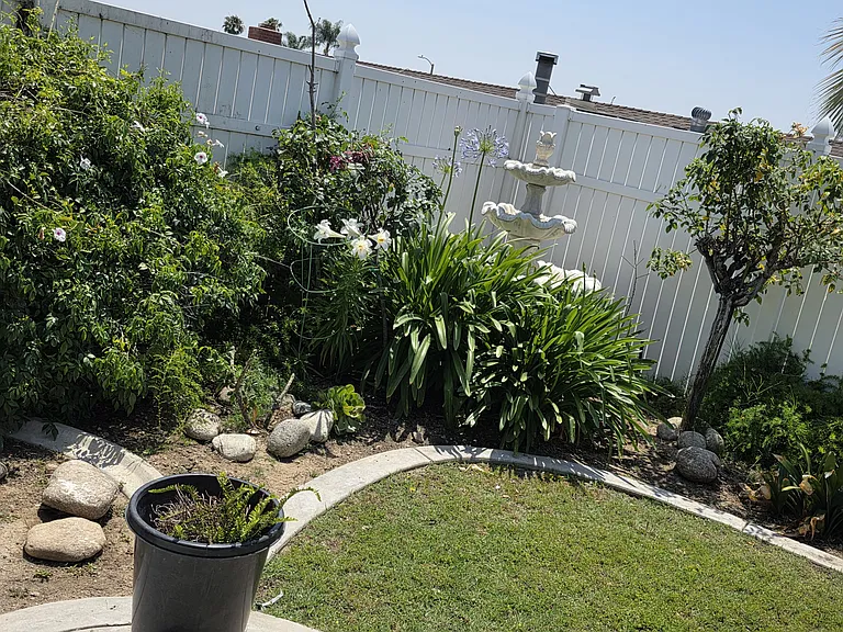 3154 Valaria Dr — Photo 35