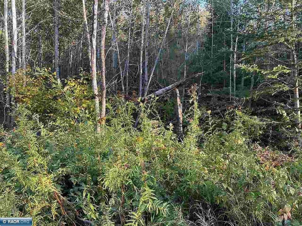 2nd image of TRACT 6 State Highway 666