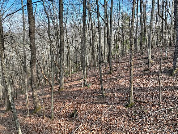 3rd image of Lts 159 Hickory Trce