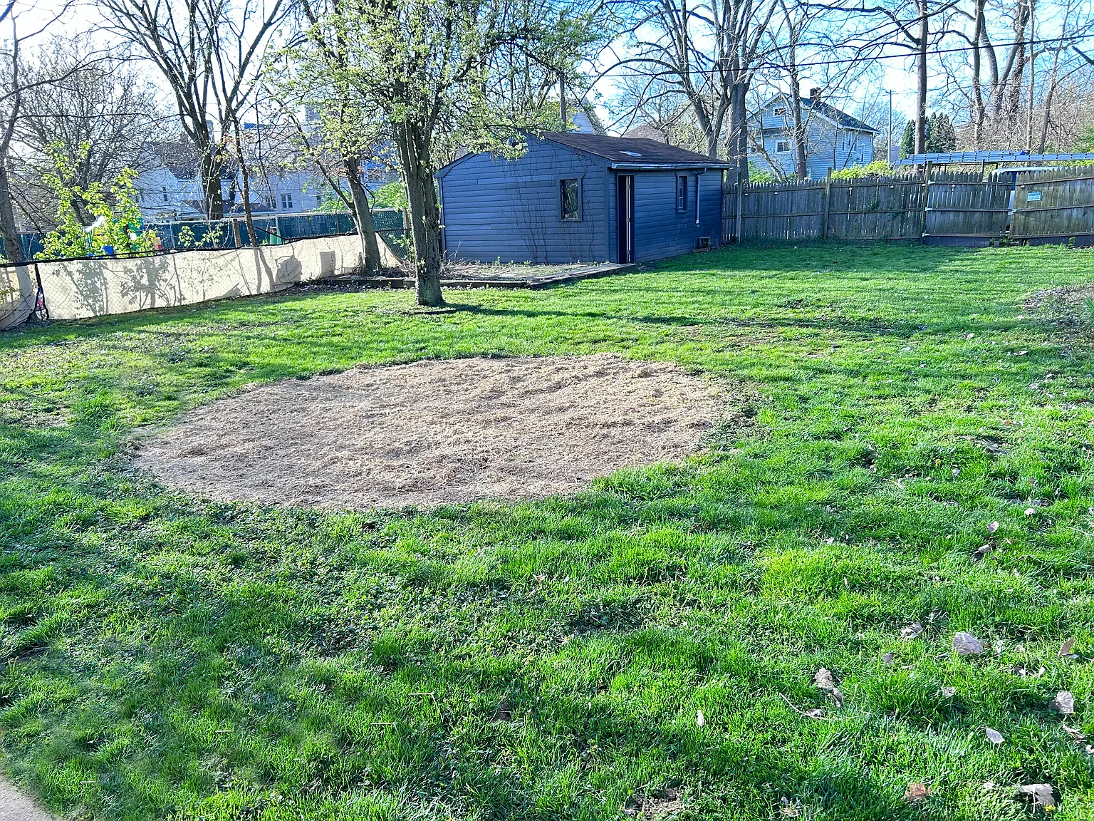 3 bed, 1000 sqft, $1,175 — Photo 2