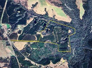 105.46 Ac State Hwy #95, Abbeville, AL 36310