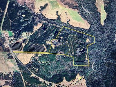 105.46 Ac State Hwy #95, Abbeville, AL, 36310