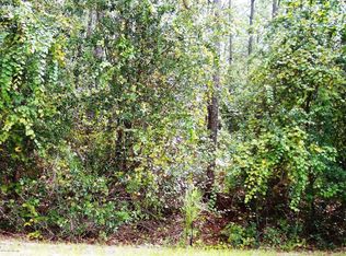 4558 Alan Lake Rd, Keystone Heights, FL 32656