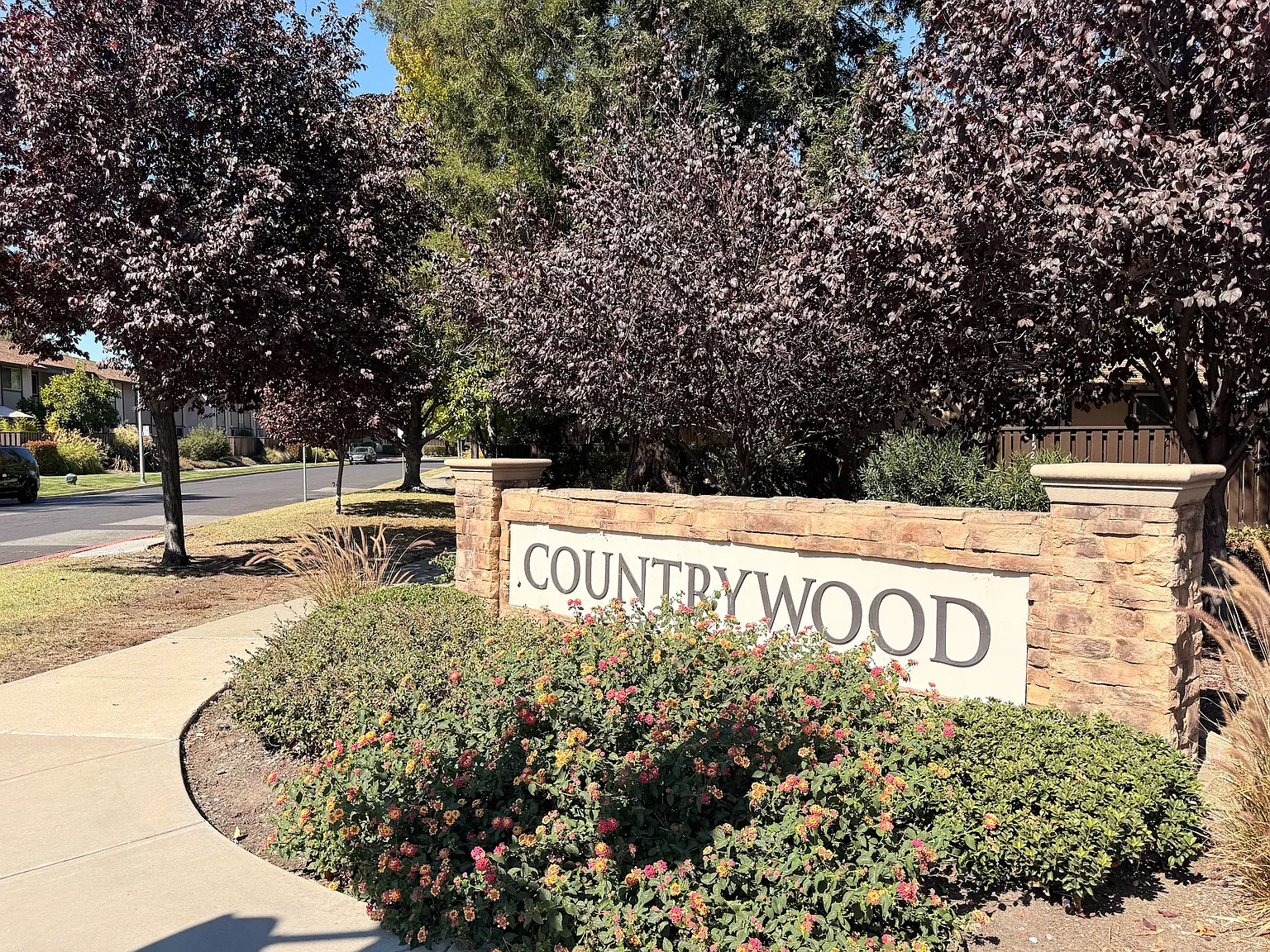 3 bed, 2.5 bath, 1568 sqft, $4,100 — Photo 2