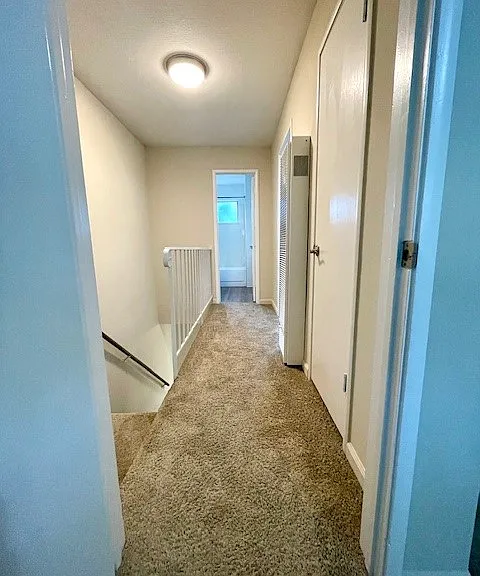 58 Tahoe Ct #4 — Photo 10