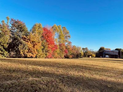 255AC Davidson Chapel Ln, Bloomington Springs, TN, 38545