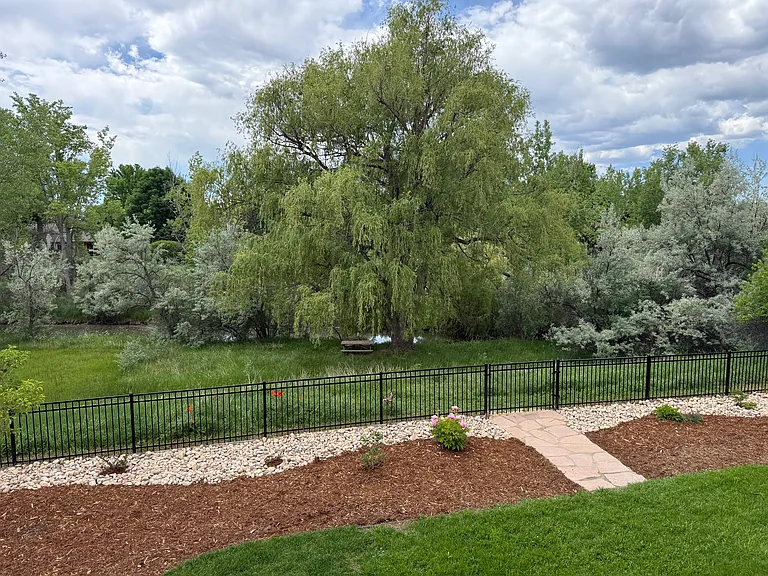 Back yard - creek view