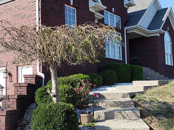 3rd image of 89 Saddle Brook Trl