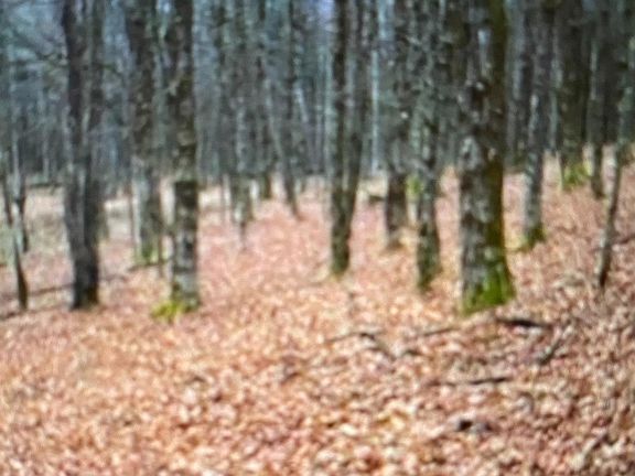 4th image of County Route 312