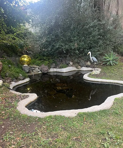 fish pond in front yard