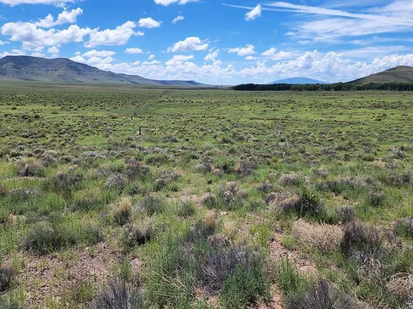 13464 County Road 21, Manassa, CO 81141