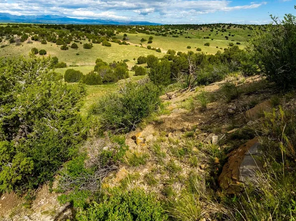 Rye, Colorado City, CO 81019