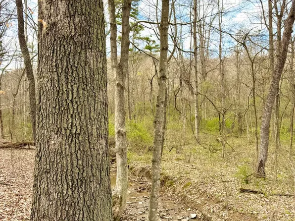 0 Fyffe Hollow Rd, Chillicothe, OH 45601