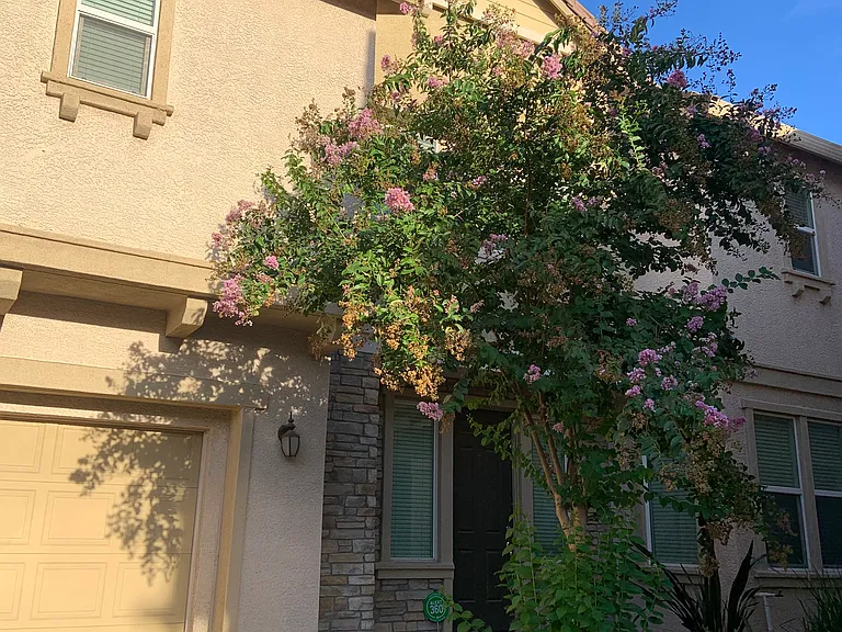 1742 Mammoth Way — Photo 2