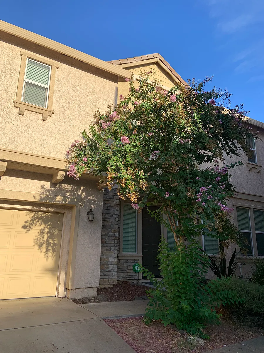Building Photo - 1742 Mammoth Way
