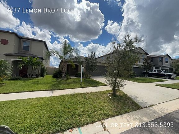 2nd image of 9437 Lemon Drop Loop