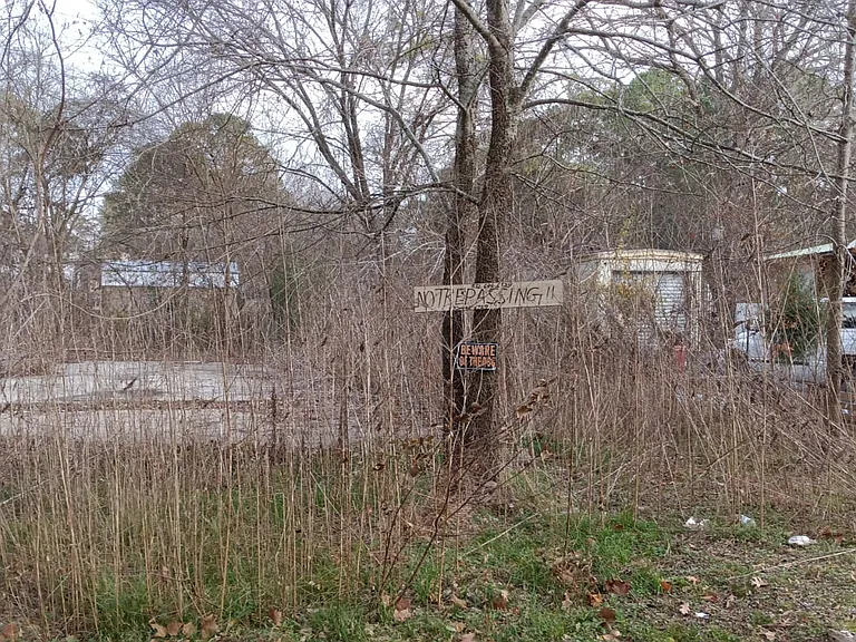 Royal Oaks — Photo 9