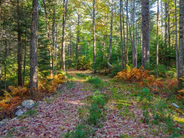 Map 17 Bear Springs Lane, Surry, ME 04684