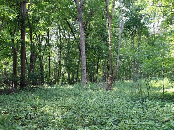 Country Hills Ln, Denver, IA 50622