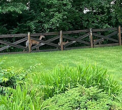 5th image of 5504 Old Pond Dr