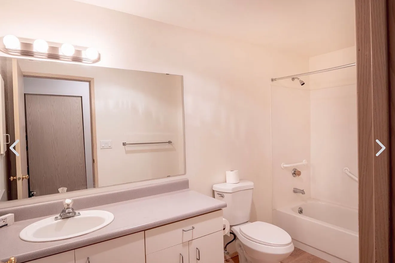 1 bed, 500 sqft, $1,195 — Photo 4