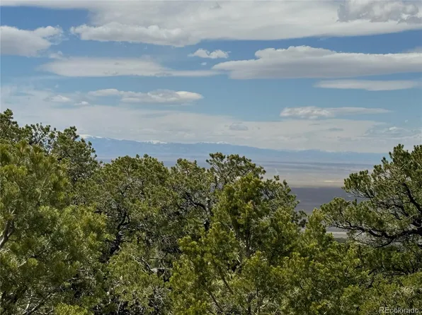 338 Cedar Ridge Road, Mosca, CO 81146