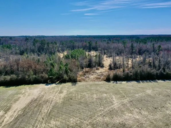 TRACT 2 Near 2034 Haynes Lennon Hwy, Cerro Gordo, NC 28430
