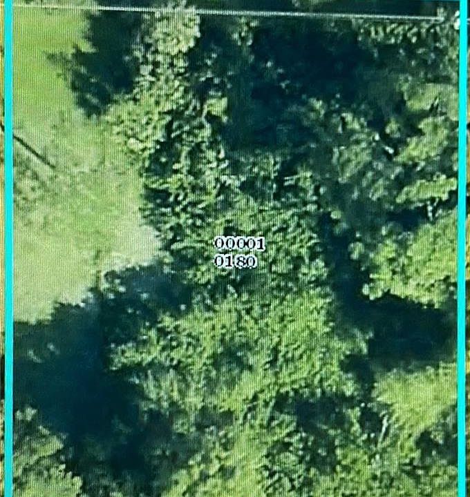 1st image of 4576 Villa Capri Ln