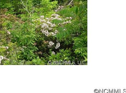 4th image of 37 Galax Ln