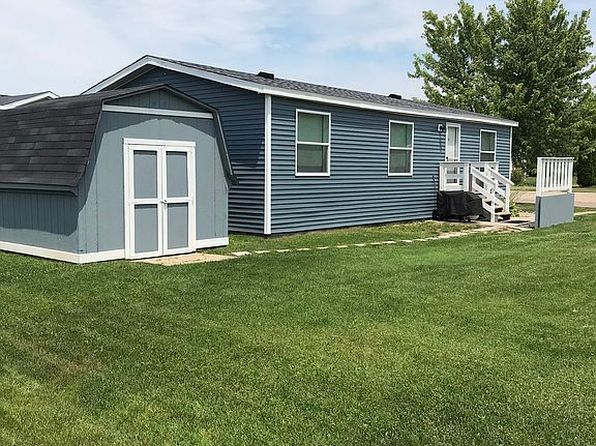 62 Sugar Maple E