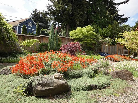 Fenced front yard, landscaped and easy maintenance