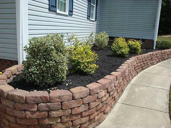 Mature Landscaping