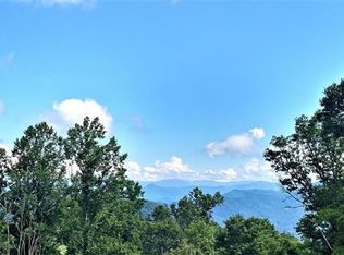 305 Red Wolfe Dr, Whittier, NC 28789