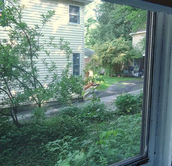 21 Schubert St — Photo 10