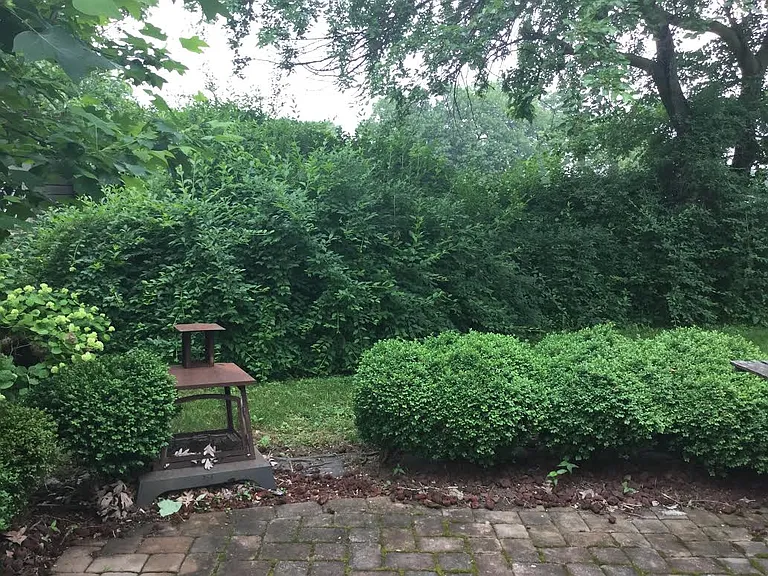 20 Lathrop Ave — Photo 20