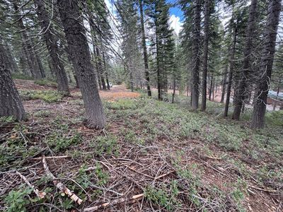 3080 Hillcrest Ct, Strawberry Valley, CA, 95981