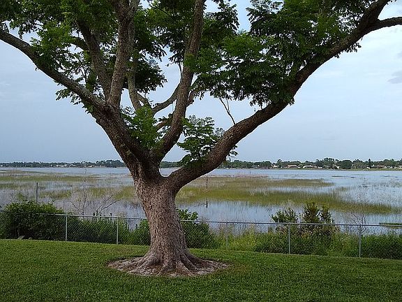 Located on Lake Theresa