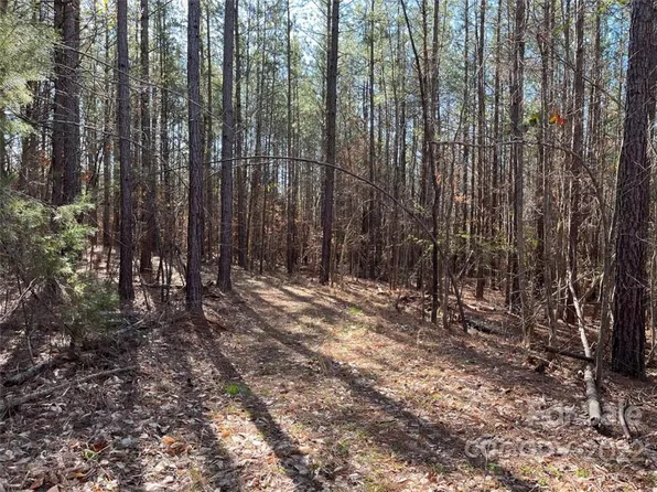 999 Coxe Rd #3, Tryon, NC 28782