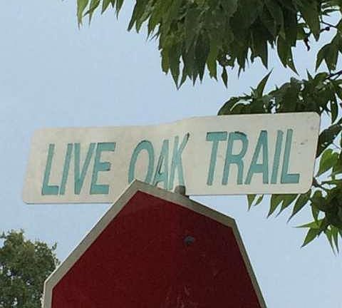 5th image of 1201 Live Oak Trl