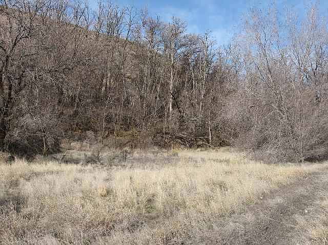 2nd image of River Rd