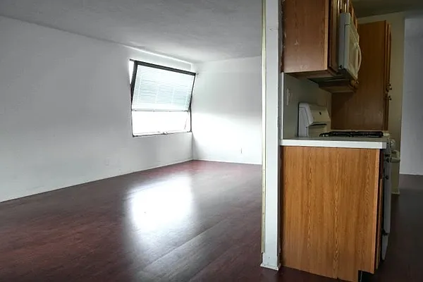 Sold by Cicada International LLC | media 6