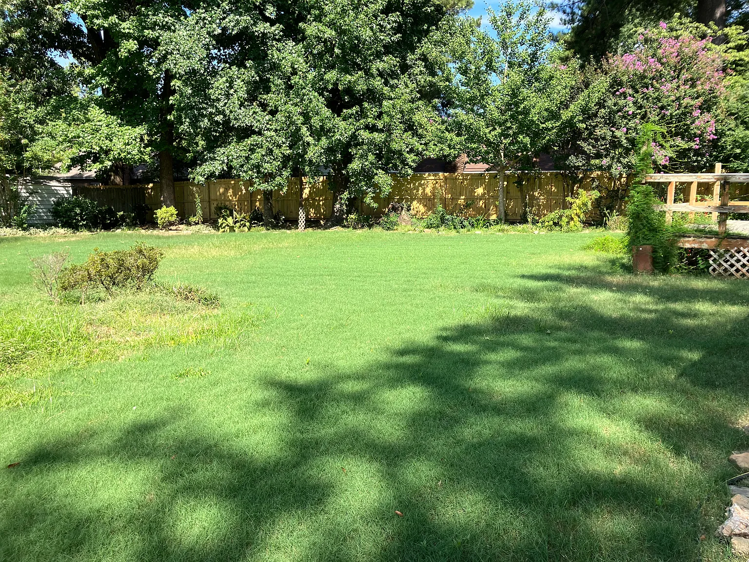 3 bed, 1783 sqft, $2,450 — Photo 4