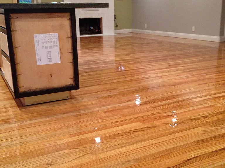2529 Nube Ct — Photo 4