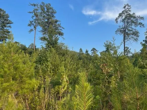 0 Dug Gap Battle Rd, Rocky Face, GA 30740