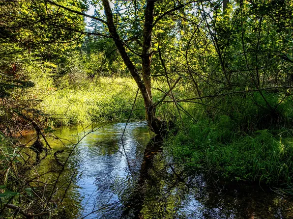 1397 Kelley Dr, Bigfork, MT 59911