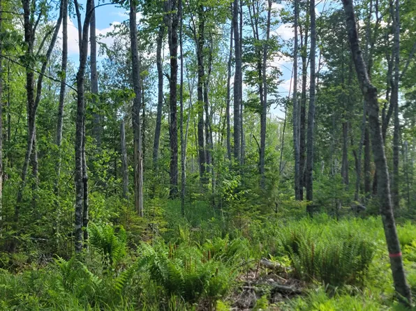 Lot 2A Bayside Road, Ellsworth, ME 04605