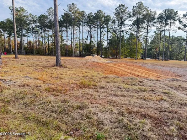 0 Mamies Dr #11, Blackshear, GA 31516